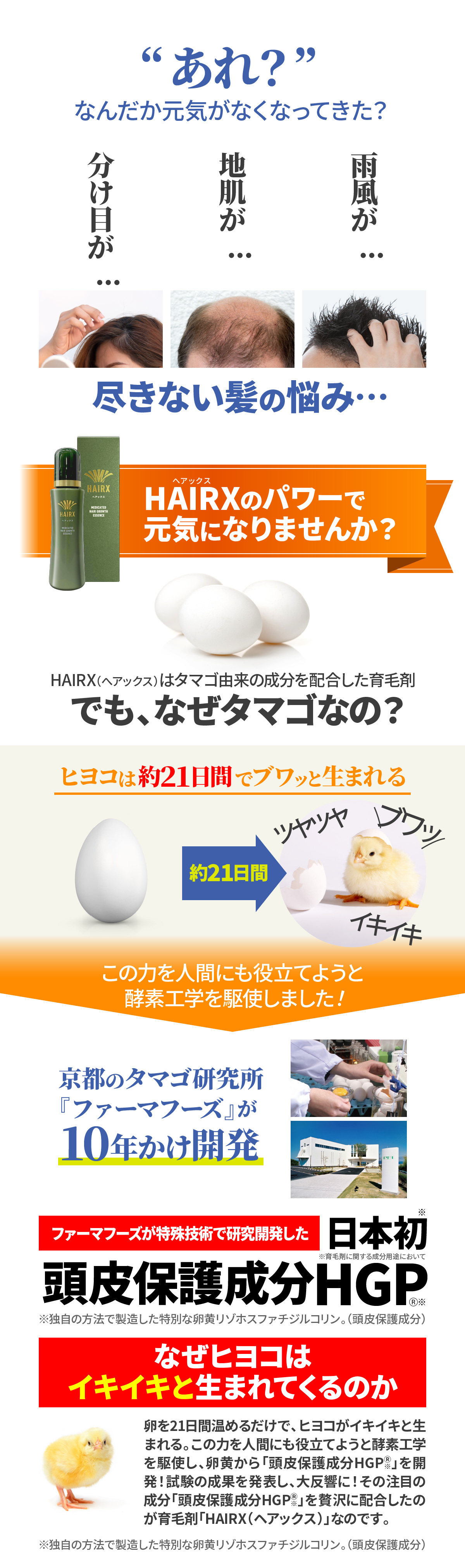 HAIRXコンテンツ画像