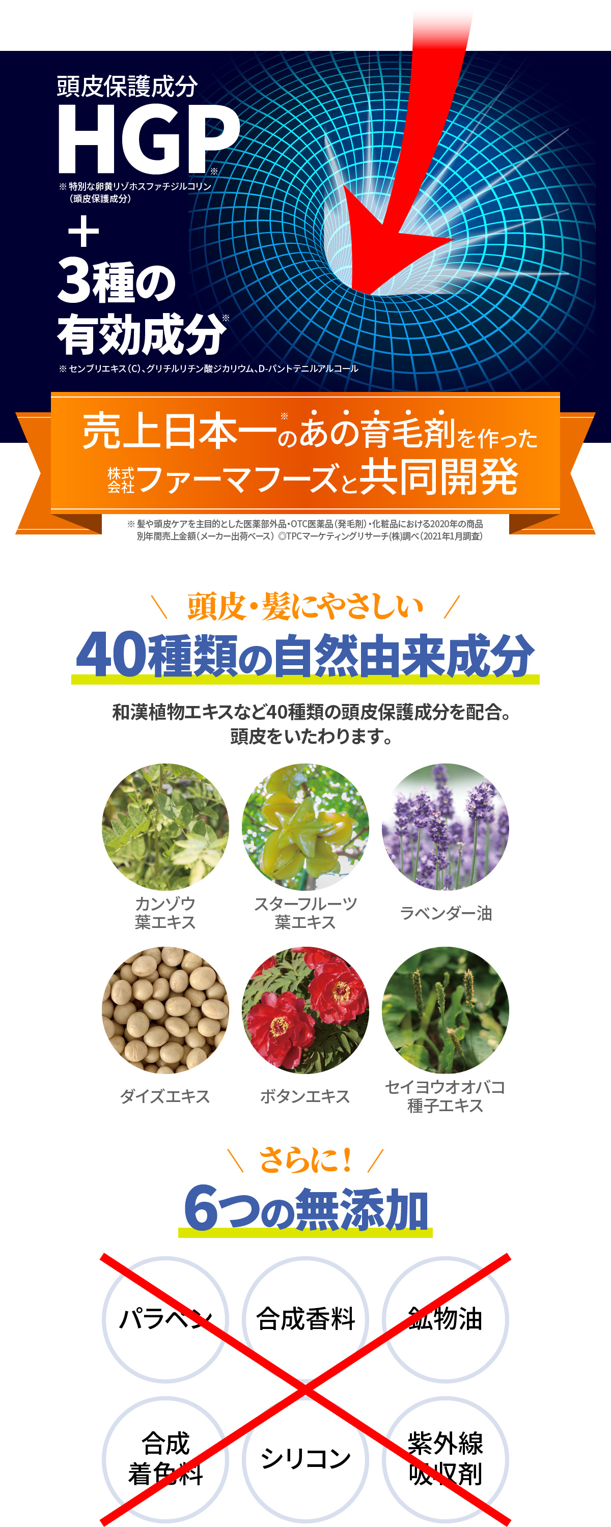 HAIRXコンテンツ画像