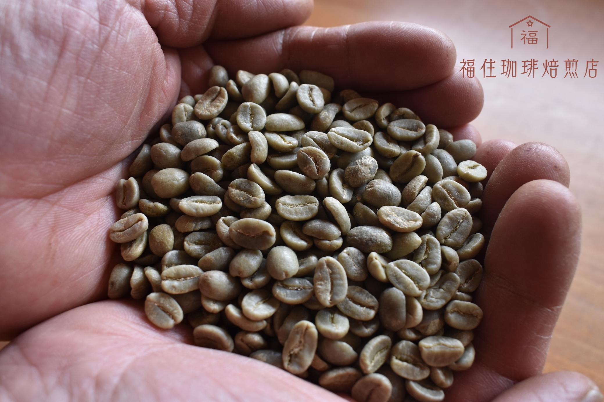 福住珈琲 - カフェ空間